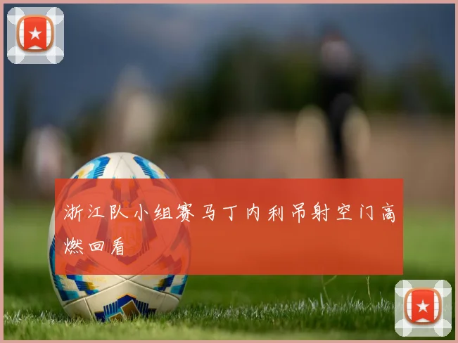 浙江队小组赛马丁内利吊射空门高燃回看