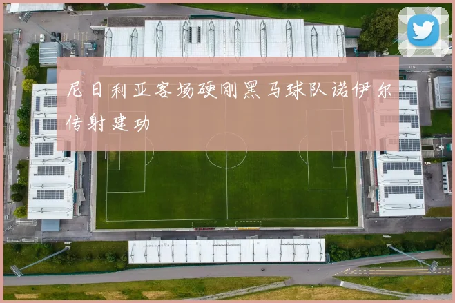 尼日利亚客场硬刚黑马球队诺伊尔传射建功