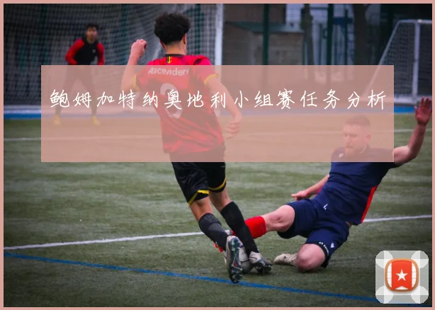 鲍姆加特纳奥地利小组赛任务分析