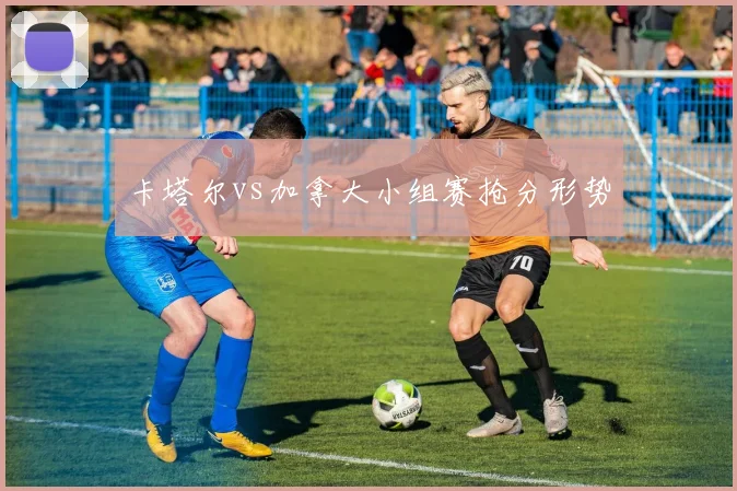 卡塔尔vs加拿大小组赛抢分形势