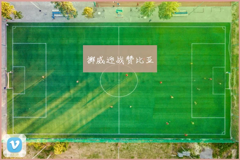 挪威迎战赞比亚