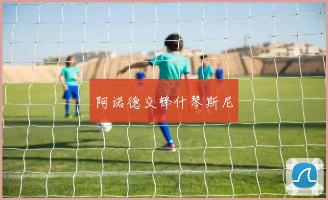 阿诺德交锋什琴斯尼