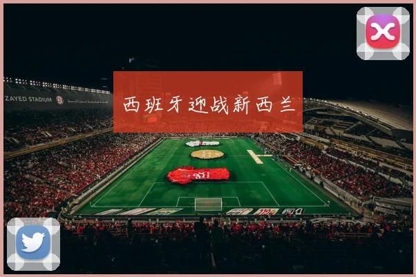 西班牙迎战新西兰