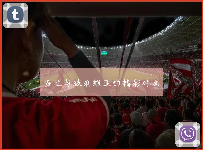 芬兰与玻利维亚的精彩对决