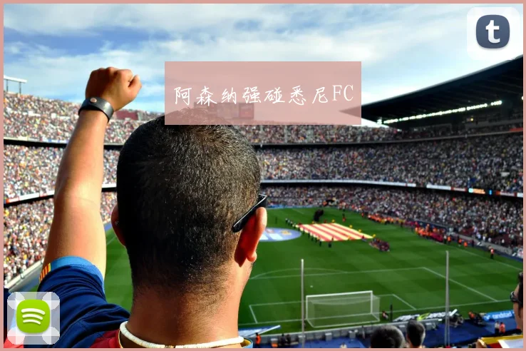 阿森纳强碰悉尼FC