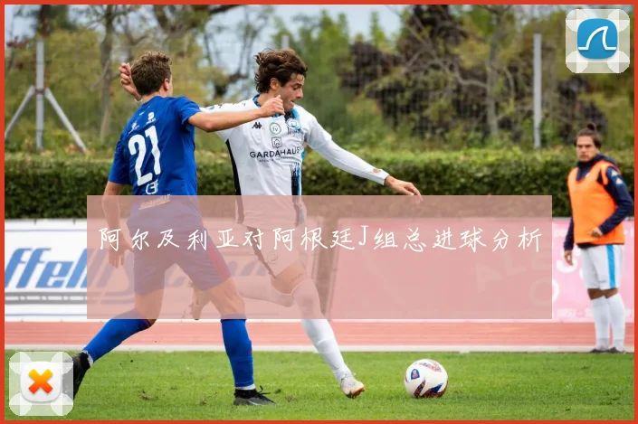 阿尔及利亚对阿根廷J组总进球分析
