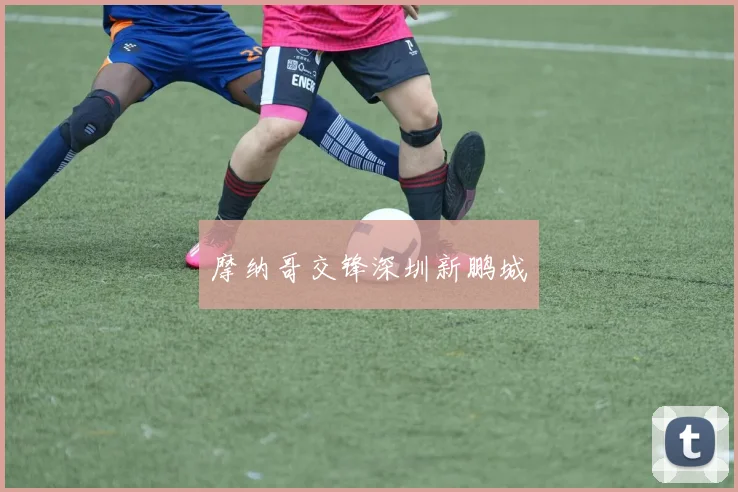 摩纳哥交锋深圳新鹏城
