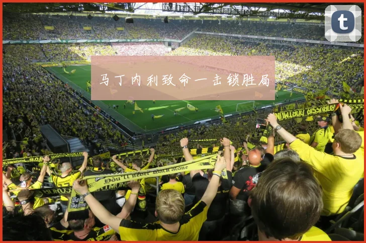 马丁内利致命一击锁胜局