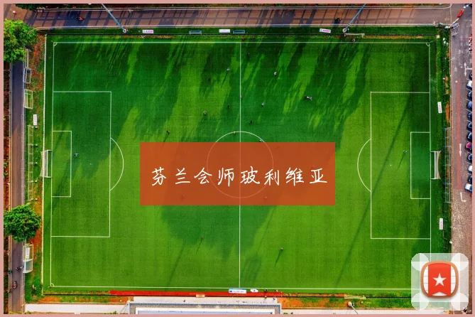 芬兰会师玻利维亚