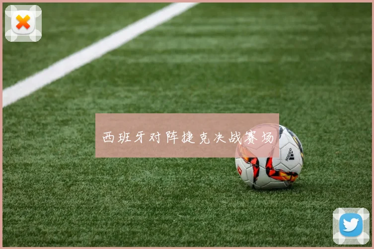 西班牙对阵捷克决战赛场