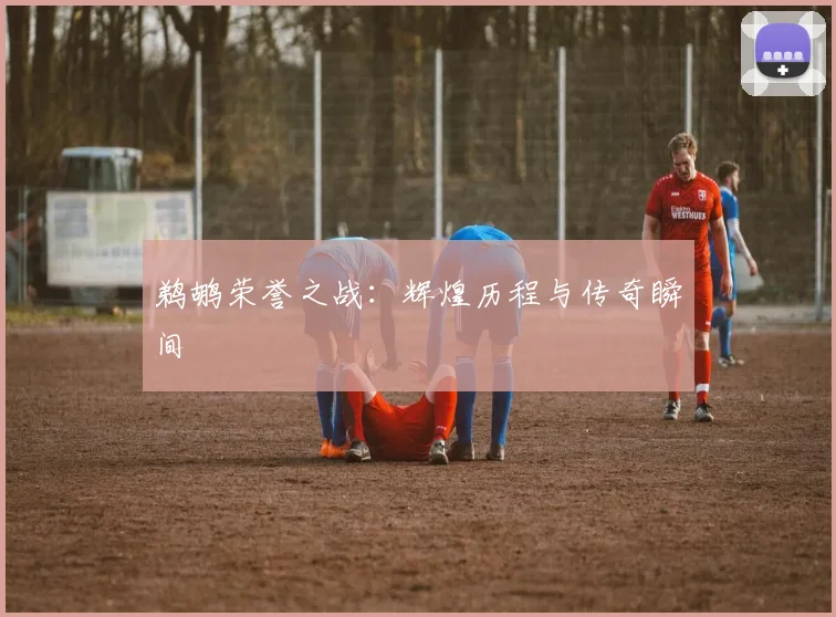 鹈鹕荣誉之战：辉煌历程与传奇瞬间