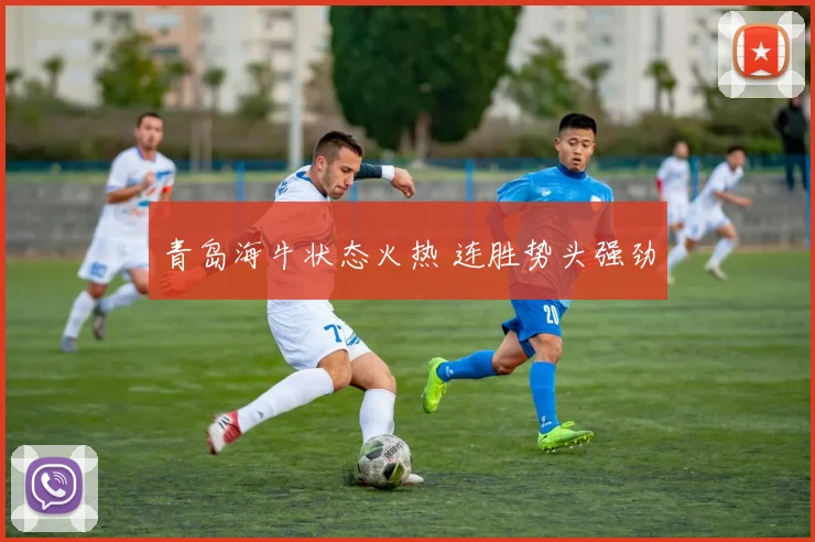 青岛海牛状态火热 连胜势头强劲