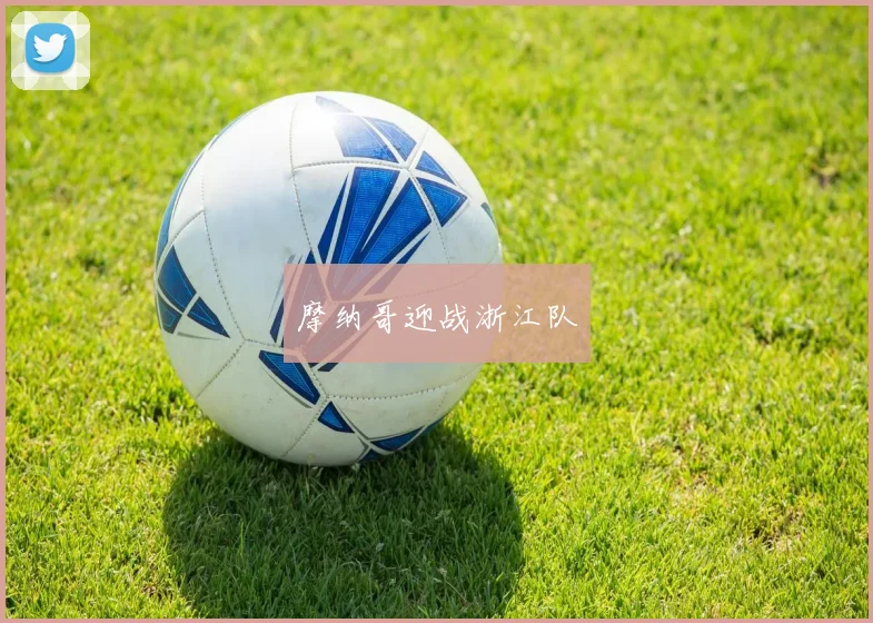 摩纳哥迎战浙江队