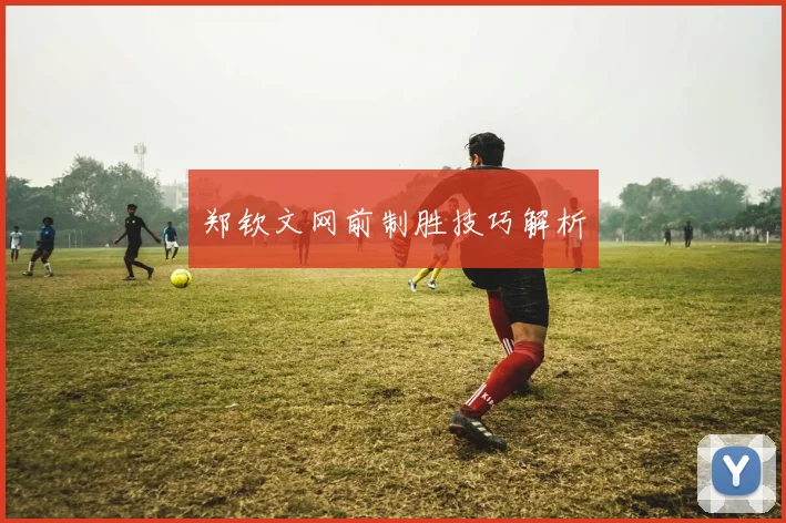 郑钦文网前制胜技巧解析
