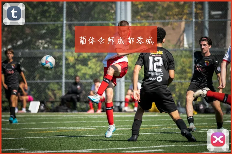 葡体会师成都蓉城
