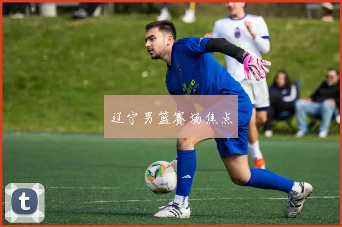 辽宁男篮赛场焦点