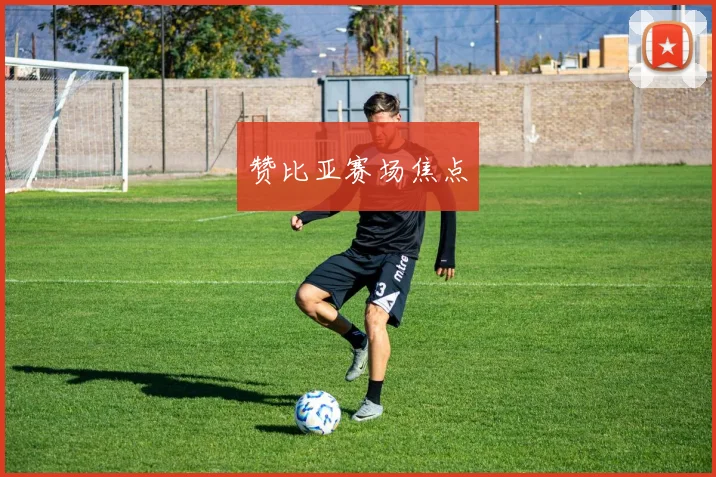 赞比亚赛场焦点