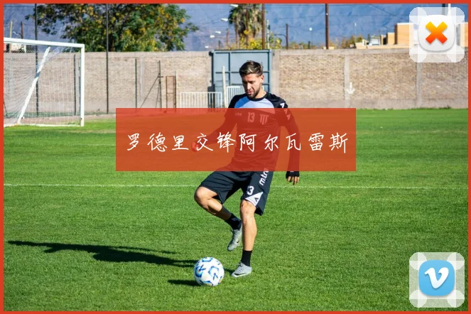 罗德里交锋阿尔瓦雷斯