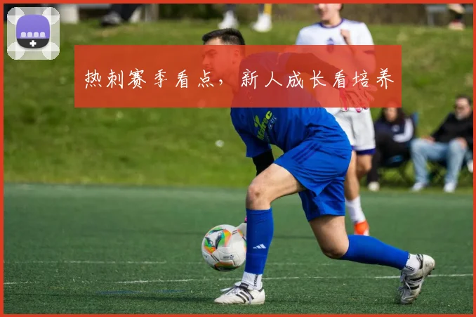 热刺赛季看点，新人成长看培养