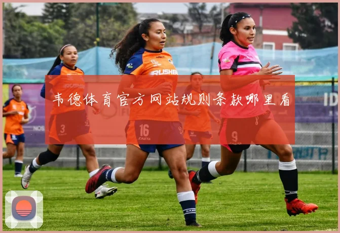 韦德体育官方网站规则条款哪里看